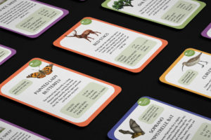 Safari Trump Cards inspired by the Beautiful British Wildlife and Farmlife on the Farm