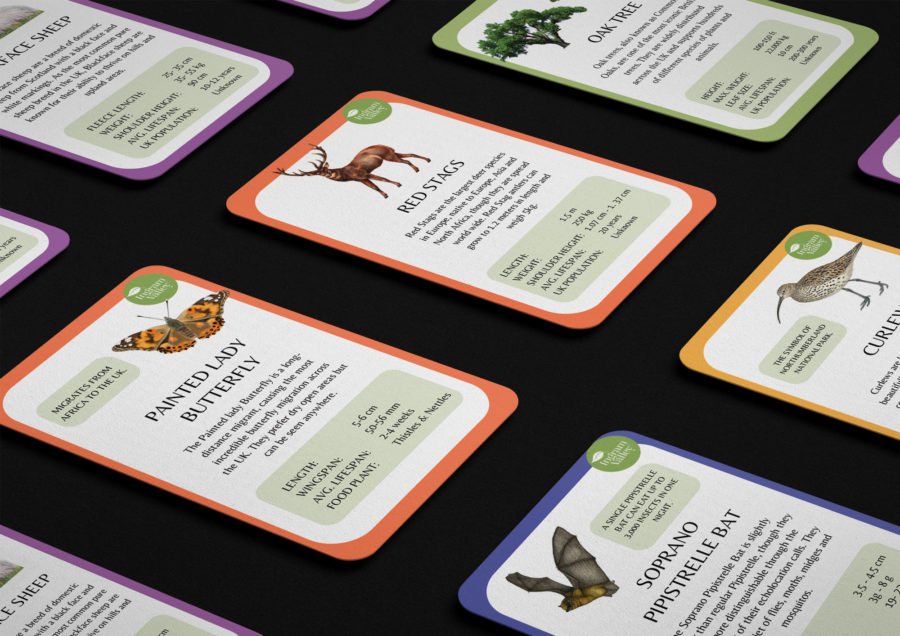 Safari Trump Cards inspired by the Beautiful British Wildlife and Farmlife on the Farm