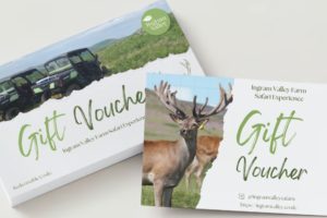 Ingram Valley Safari Gift Vouchers: Perfect for Birthdays, Anniversaries and Christmas…