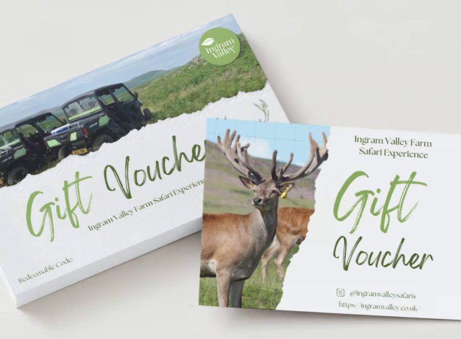 Ingram Valley Safari Gift Vouchers: Perfect for Birthdays, Anniversaries and Christmas…