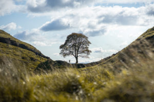 National Parks UK Conference 2024