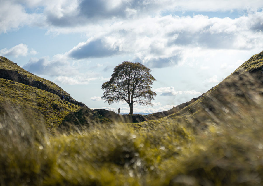 National Parks UK Conference 2024