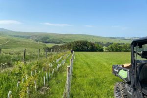 To be or Not to be: The Plastic Tree Guard