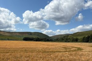 A World Above – the Art of Cloud Spotting