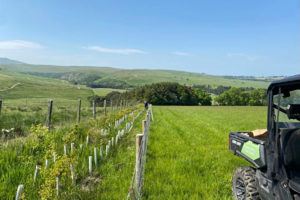 Green Guard Removal kit