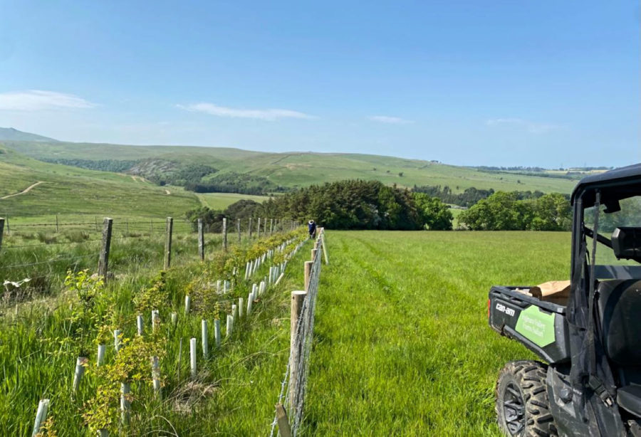 Green Guard Removal kit