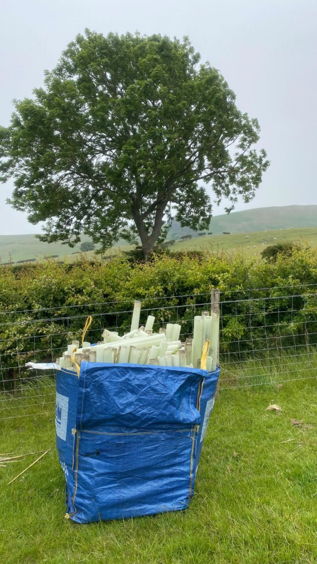 Thank you to the volunteering team from Priory Medical Group for helping us remove 1,672 plastic tree guards from the trees and hedgerows (tree guards older than 5 years) as part of their greener initiative. 

The tree guards will now go to a National Trust recycling hub.

Tree guards can be essential for helping trees establish by protecting the trees 🌳 from browsing animals such as deer 🦌 and rabbits 🐰 sheltering them from other damage and making the trees visible while they grow. The issue however, comes from plastic tree guards being left in the environment for too long and forgotten about. This then leads to plastic pollution. A tree guard is expected to be on a tree for around 5-7 years before they complete their job at protecting the trees.
Source: www.forestplasticsworkinggroup.co.uk

*A tree guard can stay on a tree 10-15 years in some instances, the key is taking it off at the right time and when the tree wouldn’t get eaten. 

#thankyou #volunteers #volunteersmakeadifference 
#priorymedical #greeninitiative 

#trees #treeguards #plasticshelters #plasticremoval #reduceplastic #recycle